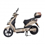 motoe-1f-03_2b1.jpg