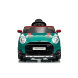 NEW_MINI_GREEN_Li I.JPG