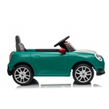 NEW_MINI_GREEN_Li XII.JPG