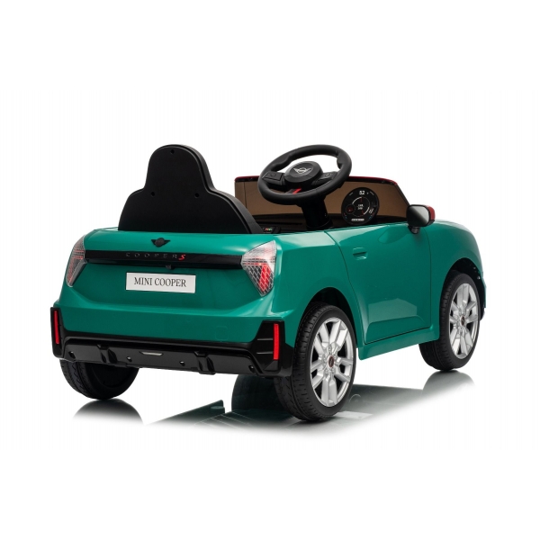 NEW_MINI_GREEN_Li XI.JPG