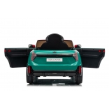 NEW_MINI_GREEN_Li XIX.JPG