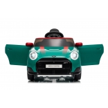 NEW_MINI_GREEN_Li XVI.JPG