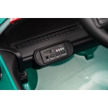 NEW_MINI_GREEN_Li XXIV.JPG