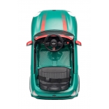 NEW_MINI_GREEN_Li XXXIII.JPG