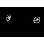 NEW_MINI_GREEN_Li XXXI.JPG