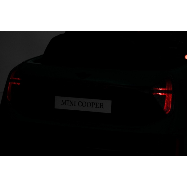 NEW_MINI_GREEN_Li XXXII.JPG