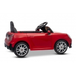 NEW_MINI_RED_Li XVII.JPG