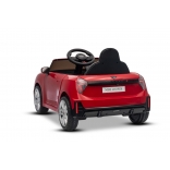 NEW_MINI_RED_Li XI.JPG