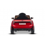 NEW_MINI_RED_Li XII.JPG