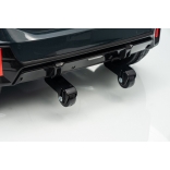 NEW_MINI_RED_Li XXIX.JPG